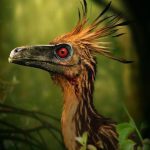 Troodon Dinosaur Simulator MOD APKs 1.2.6 Unlimited Money