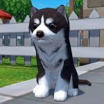 Dog Simulator 3D – Animal Life MOD APKs 1.1.00 Unlimited Money